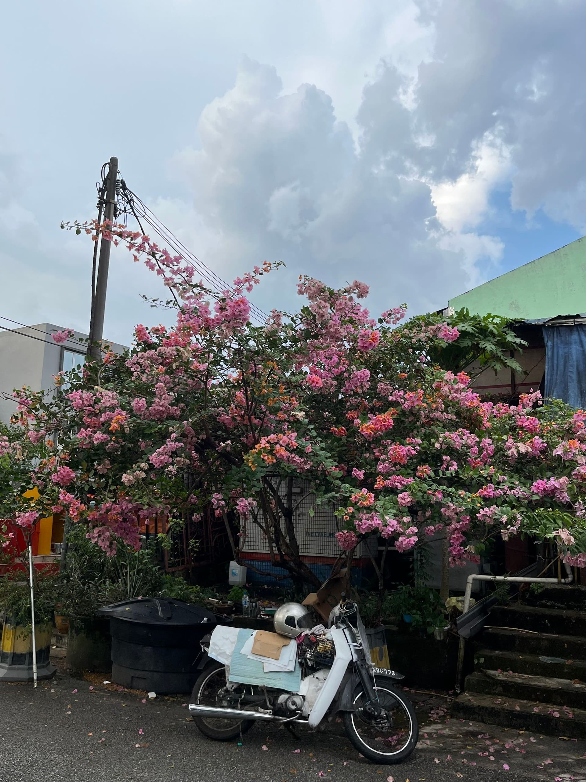 Desa Setapak