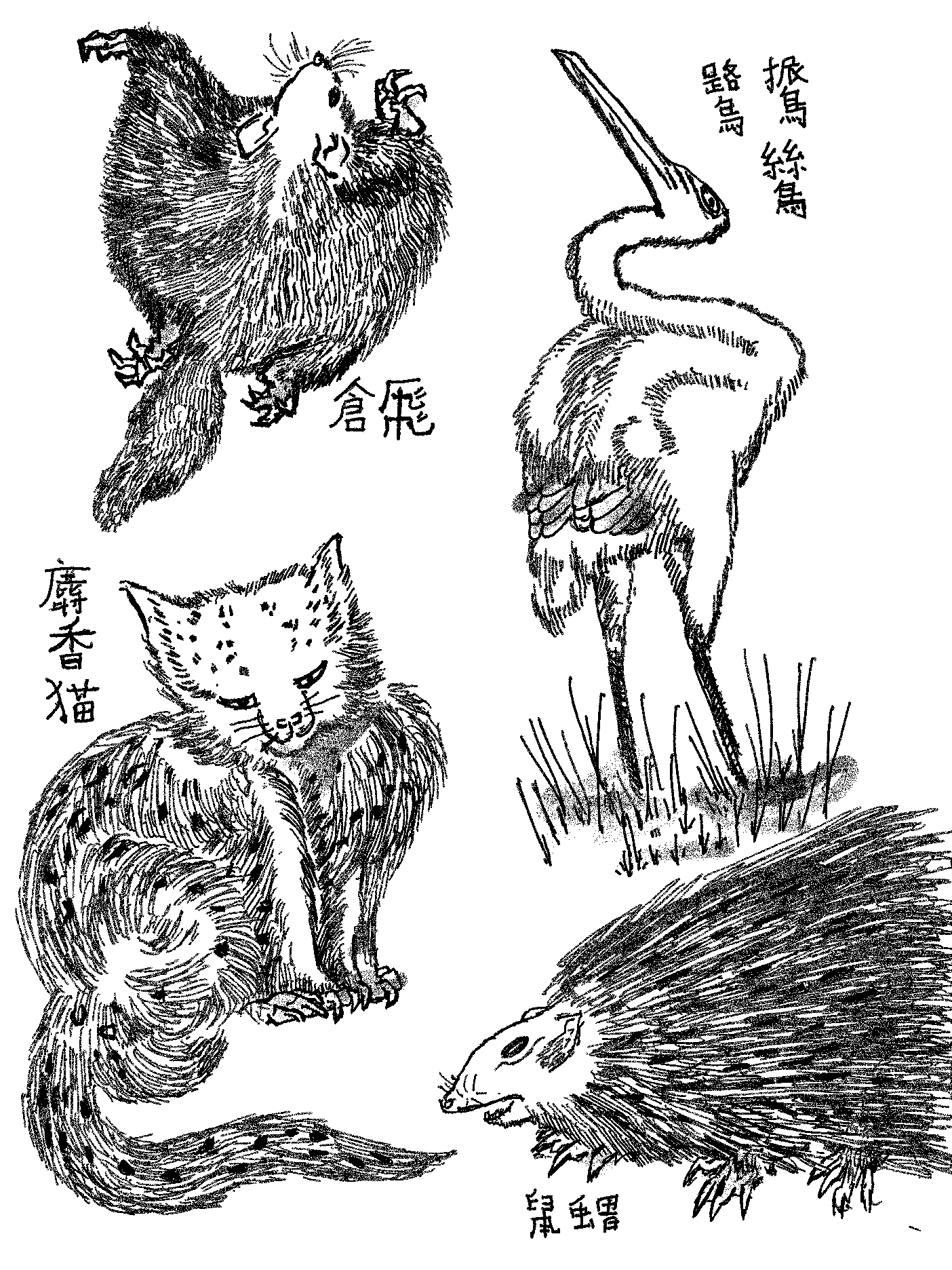 /images/hokusai.png