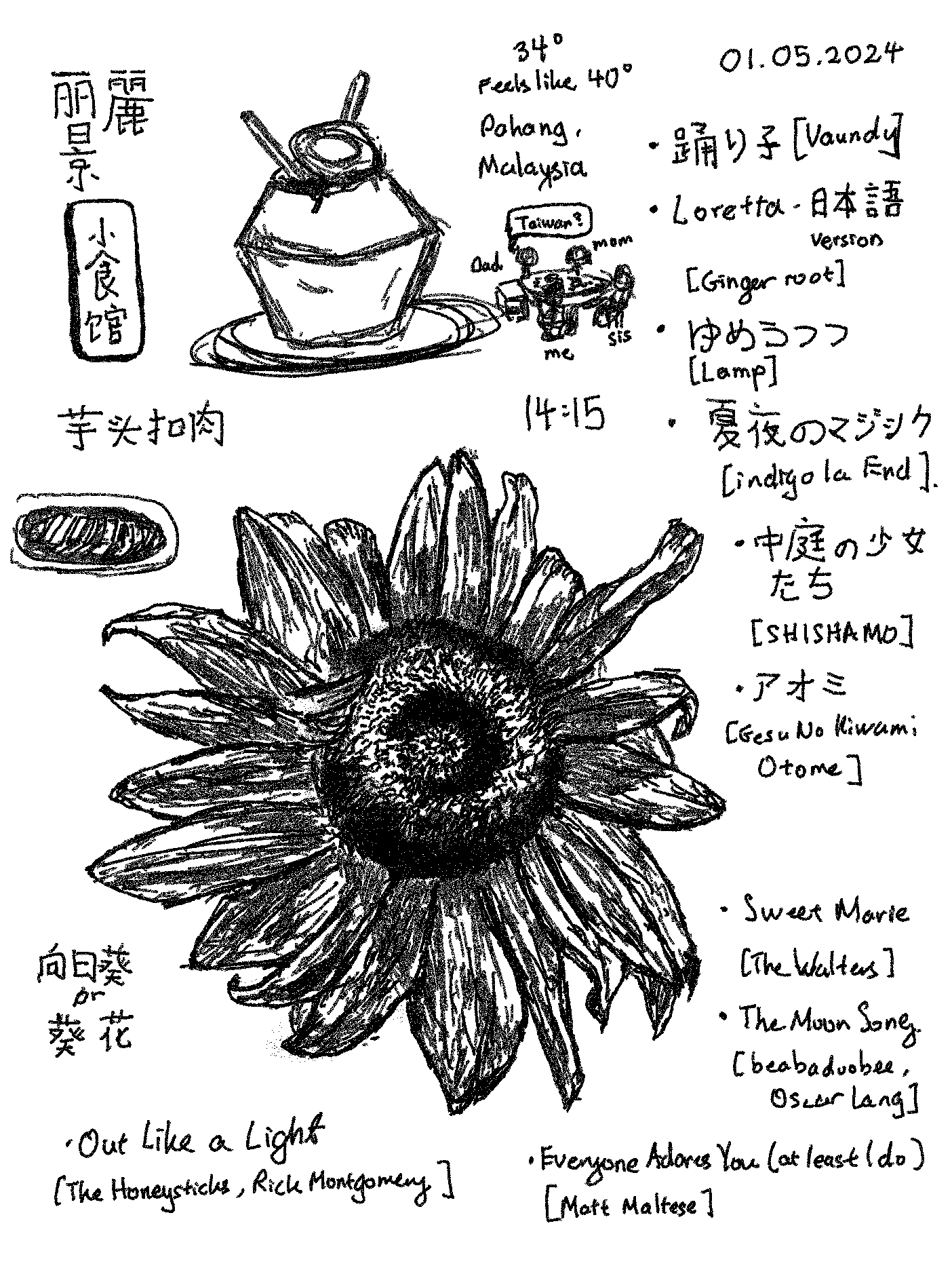 sketch